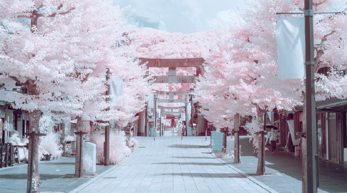 用户封面